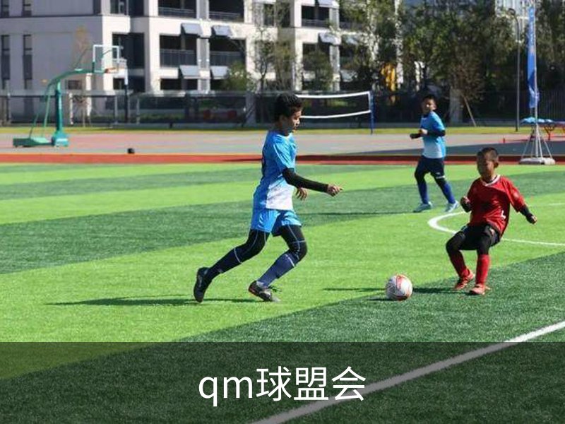 关于qm球盟会